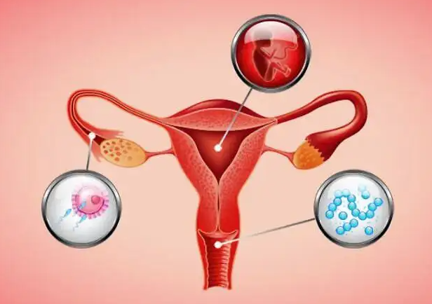 异常的卵巢会导致不孕，如何保护卵巢以保持女性的生育能力