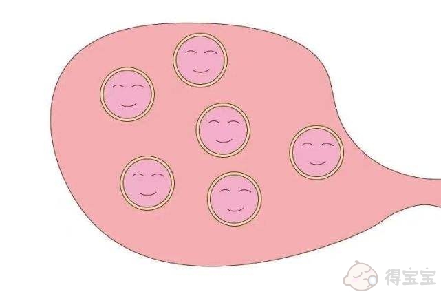 试管婴儿微刺激方案是如何运作的？排卵需要多长时间？