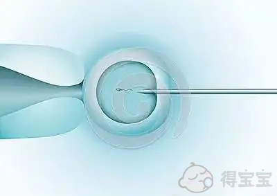 氧化应激对试管婴儿备孕的影响及应对措施