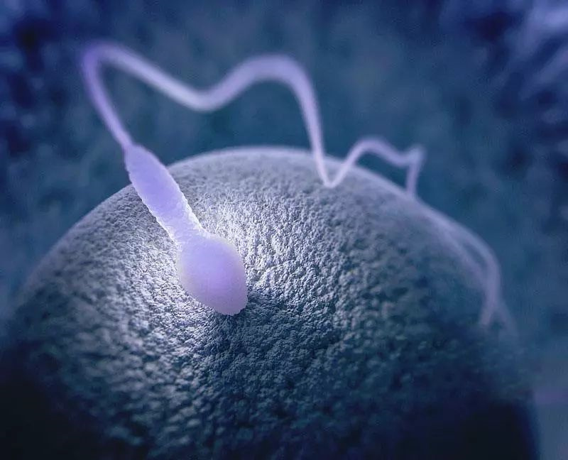 衡阳借卵-卵巢早衰的湖南私人捐卵机构推荐名单! 如何提高捐卵试管婴儿的成功率。
