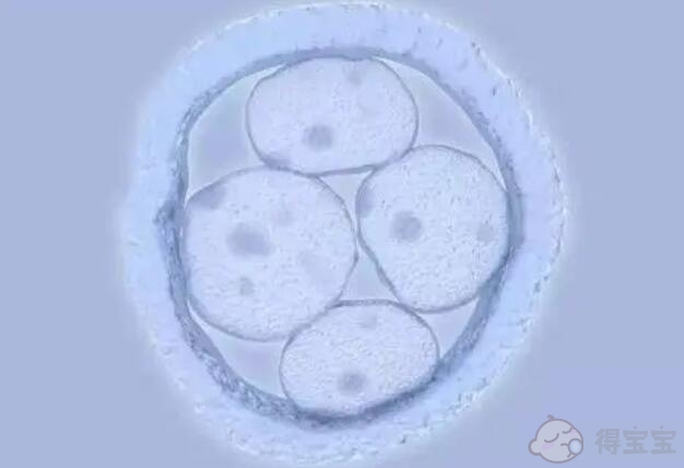 保定借卵试管代生-陕西省试管婴儿可以报销生育保险吗？专家：纳入医保的时间还没有确定。