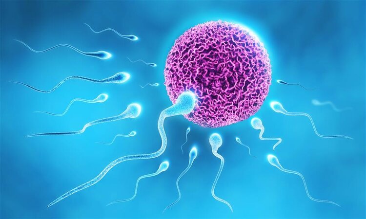 福州49岁助孕中介：压力会影响精子质量，男性必须学会减压备孕