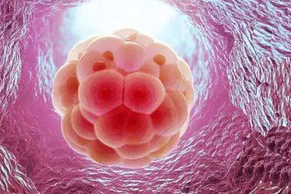 衡阳供卵代生机构：两次生化妊娠的原因是什么？
