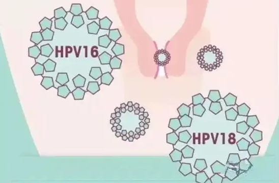 兰州男同供卵试管助孕：为什么医生不接种HpV疫苗？不同类型的HpV疫苗的解释。