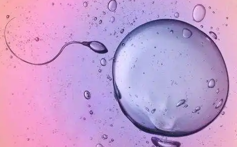赣州借卵试管助孕机构-选择贵州试管婴儿医院的最新指南。
