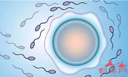 长沙a卵b怀微信群：精子活力为0a的人有可能生孩子吗？