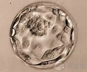 临沂a卵b怀靠谱吗-6aa级的囊胚质量好，成功的几率大，但移植后4天就检测水印还为时尚早