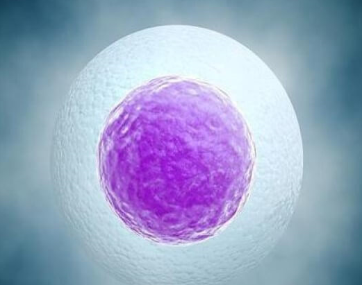 邯郸借卵试管助孕qq群：可以将冷冻的第一代囊胚移植到第三代吗？