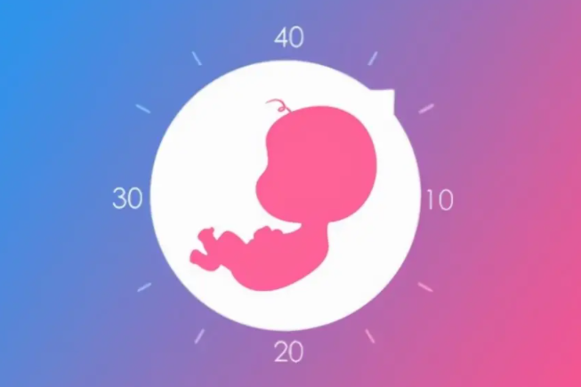 南通助孕中介联系方式-我们向你介绍私人试管婴儿，并告知你另一种助孕方式的情况。