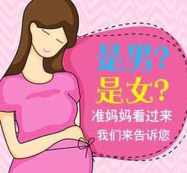 岳阳助孕公司收费标准：准确规范的性别测试100%可靠