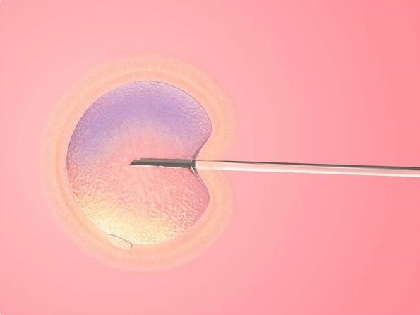 济南助孕哪家好：试管婴儿胚胎的类别是如何划分的？哪一类胚胎在试管婴儿中的成功概率更高？