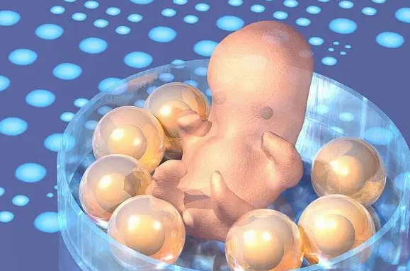 常州试管婴儿助孕龙凤胎：试管婴儿的优质胚胎和正常胚胎的区别